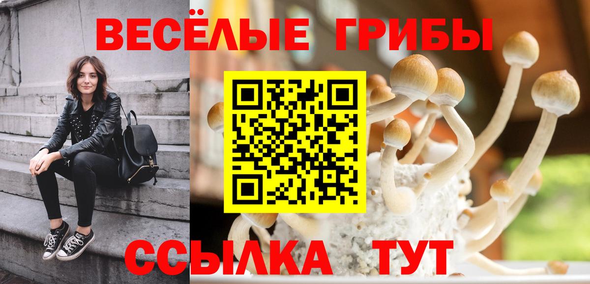 Галлюциногенные грибы мицелий  Галлюциногенные грибы мухоморы  Еманжелинск  Вход с VPN 
